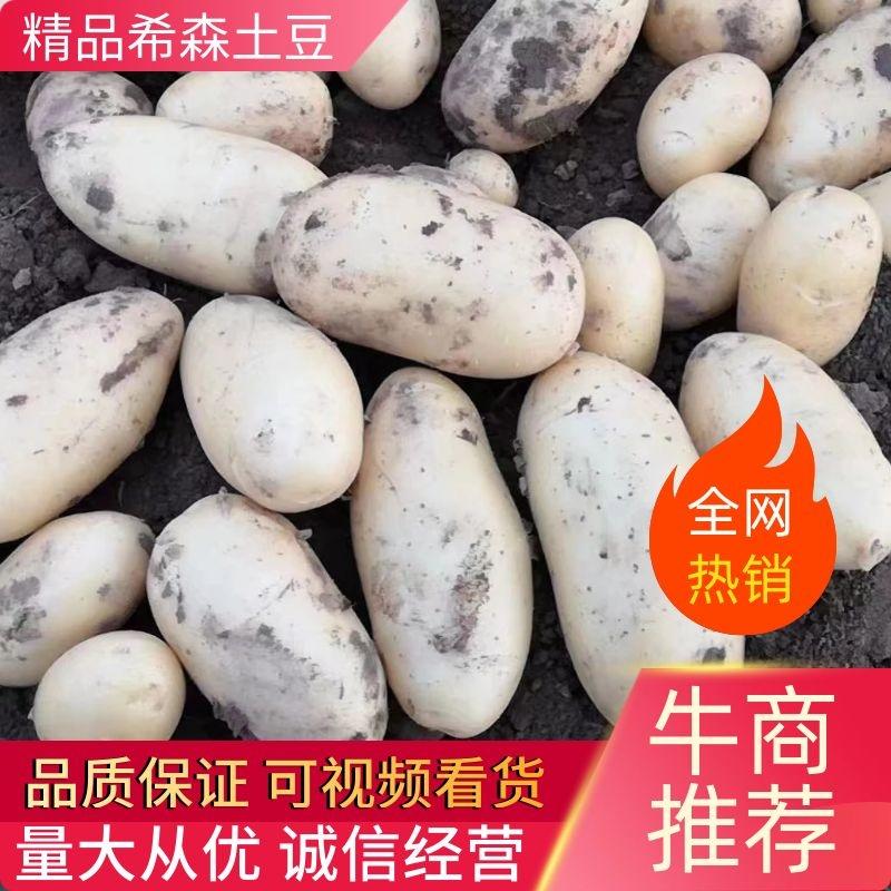 【推荐】土豆河北精品希森6号2两以上大量供应品质保证