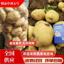 【土豆】河北中薯五号土豆一手货源可视频价格可谈