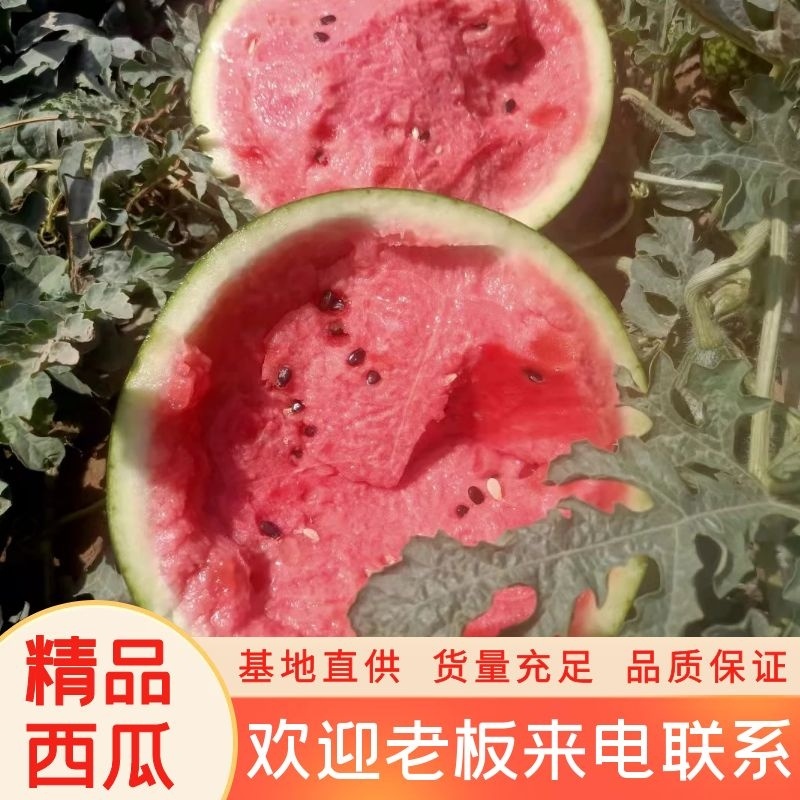 【实力推荐】土鲁番甜王西瓜诚心商家基地直供货源充足