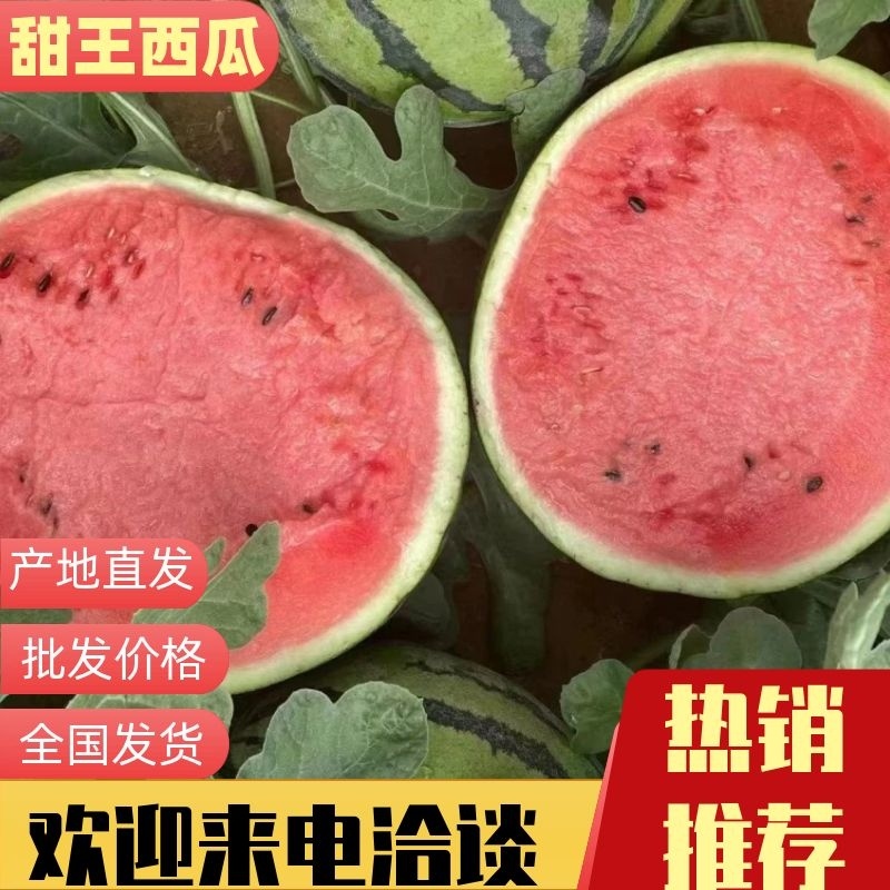 【实力推荐】土鲁番甜王西瓜诚心商家基地直供货源充足