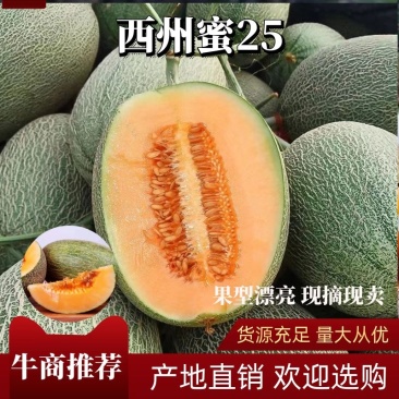 哈密瓜西州蜜25基地直供一手货源品质保证欢迎来电
