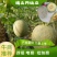 甜瓜网纹系列甜瓜香甜可口货源充足质量好良心产品