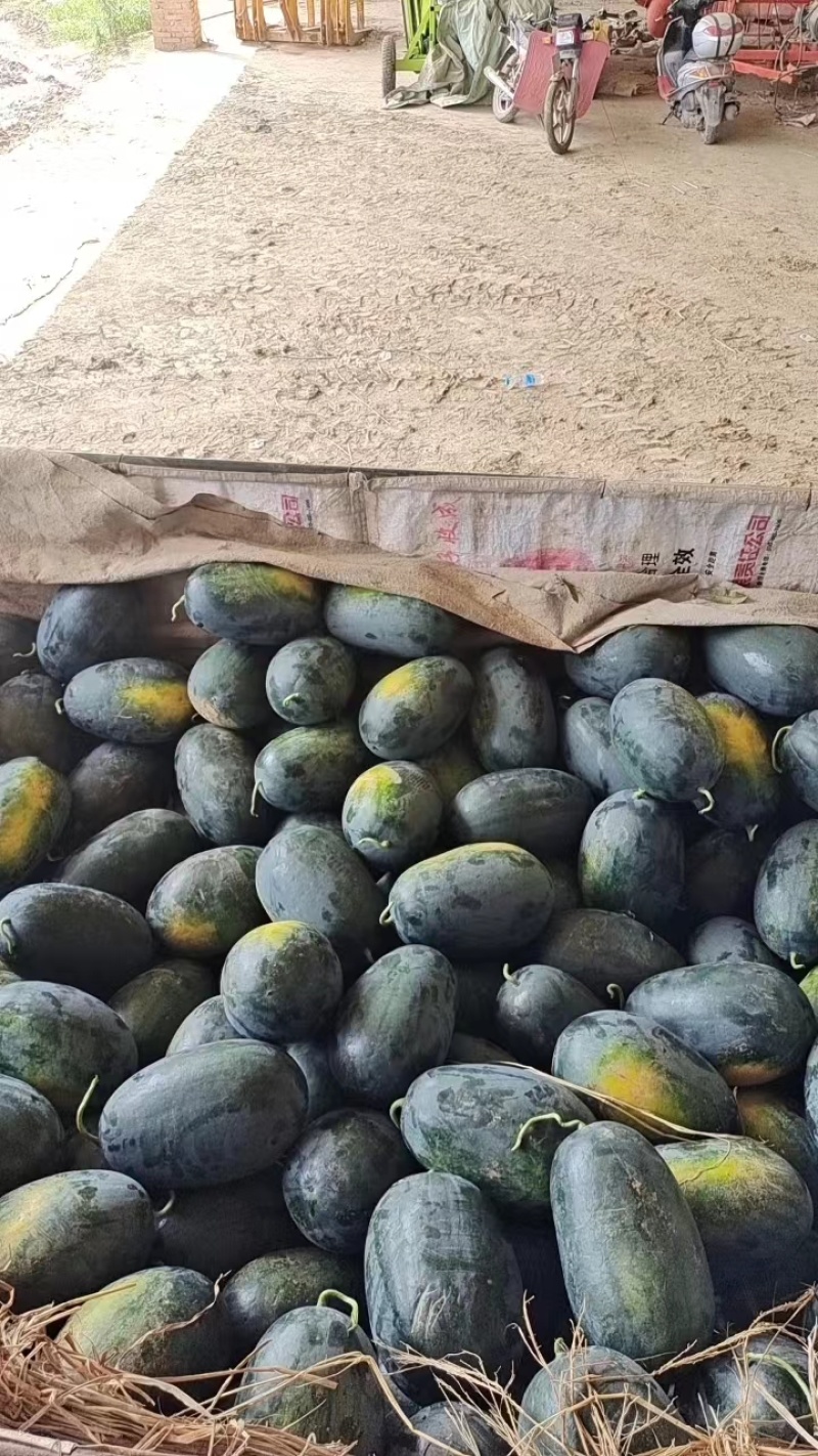 【优选】黑美人西瓜湖北西瓜基地直发品质保证对接全国