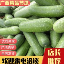广西小冬瓜，毛节瓜，供应社区团购+超市!+电商，大吨位供