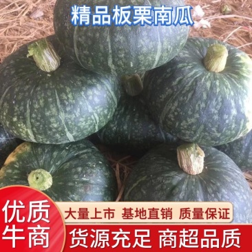 广西板栗南瓜大量上市，电商，超市，个大，大量供应！