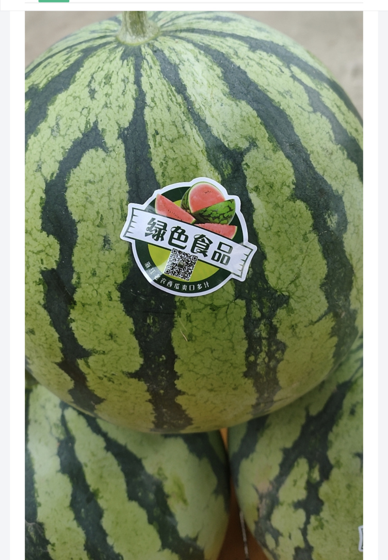 精品湖北西瓜大量上市产地直供保质保量欢迎来电