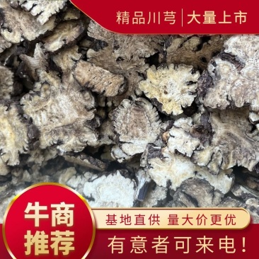 【文斌药业】川芎新货到量大从优低价促销干净无杂质