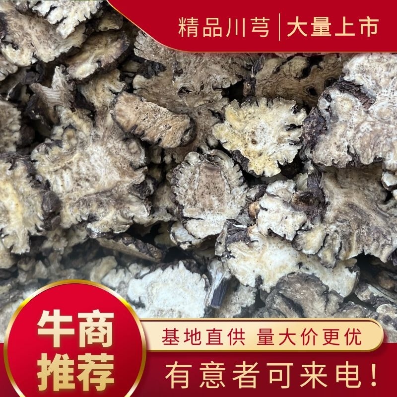 【文斌药业】川芎新货到量大从优低价促销干净无杂质