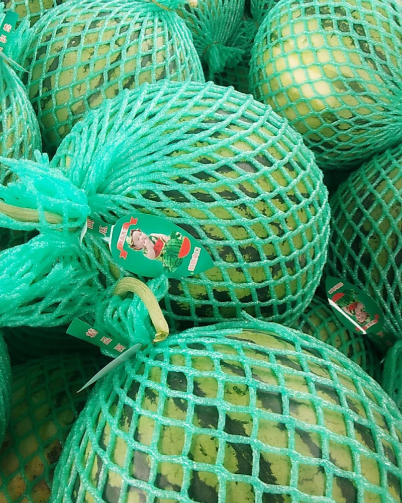天津市静海麒麟瓜甜度高现摘新鲜一手货源大量现货