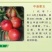 【油桃】中油油桃正宗中油蜜玉自产自销坏单包赔全国发货