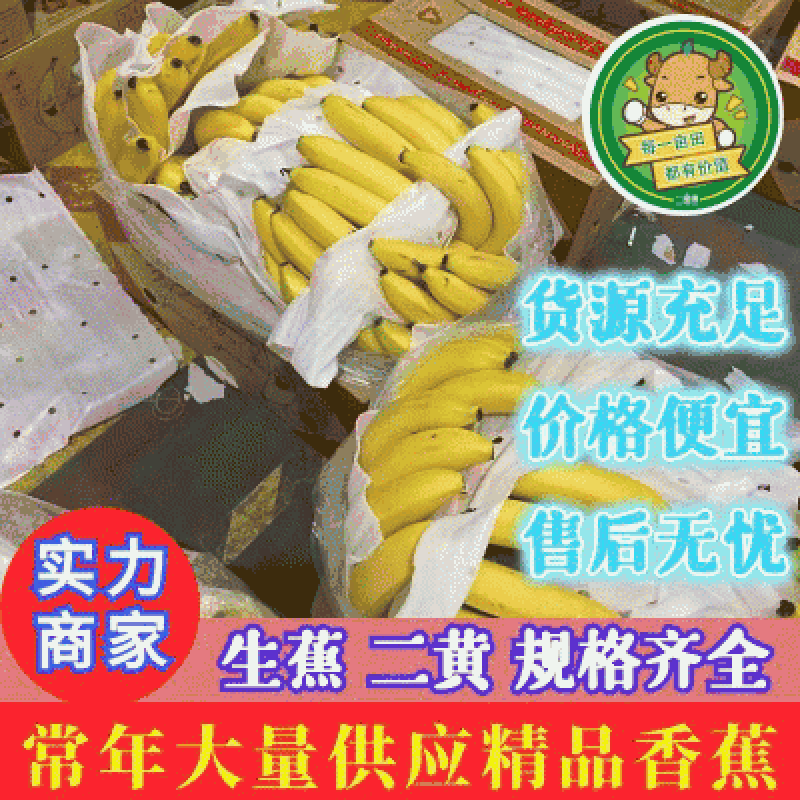 【优选】香蕉全年供应，青蕉二黄规格齐全，欢迎访问