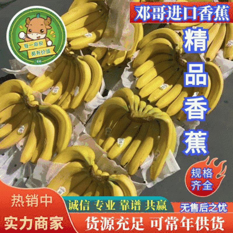 【优选】香蕉全年供应，规格齐全，货源充足，欢迎访问
