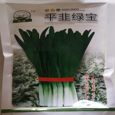 平韭绿宝韭菜种子四季韭菜种子不休眠高产耐寒抗病