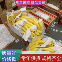 【精品】香蕉全年供应，规格齐全，价格实惠，欢迎联系选购