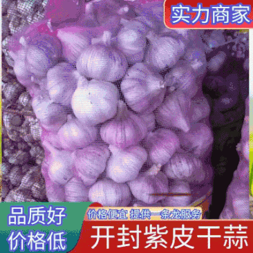 河南大蒜精品紫皮大蒜，河南紫皮蒜基地直供价格便宜