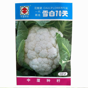 花椰菜种子雪白70天一代杂交耐热耐高温抗病强