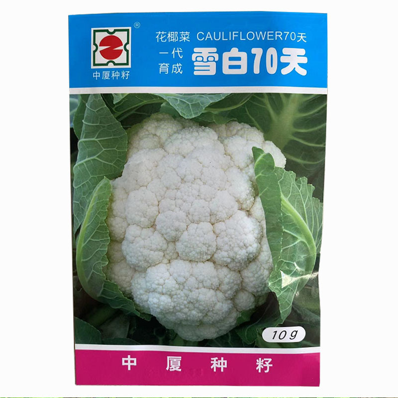 花椰菜种子雪白70天一代杂交耐热耐高温抗病强