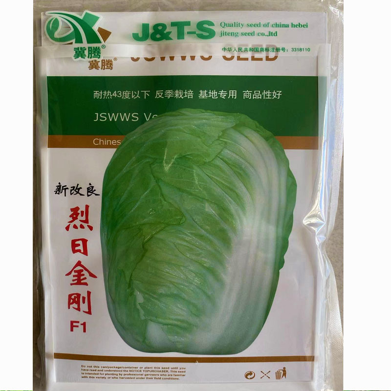 白菜种子大白菜烈日金刚反季节蔬菜耐热43度下基地用