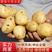 精品土豆荷兰十五土豆产地直发对接全国支持电商欢迎咨询