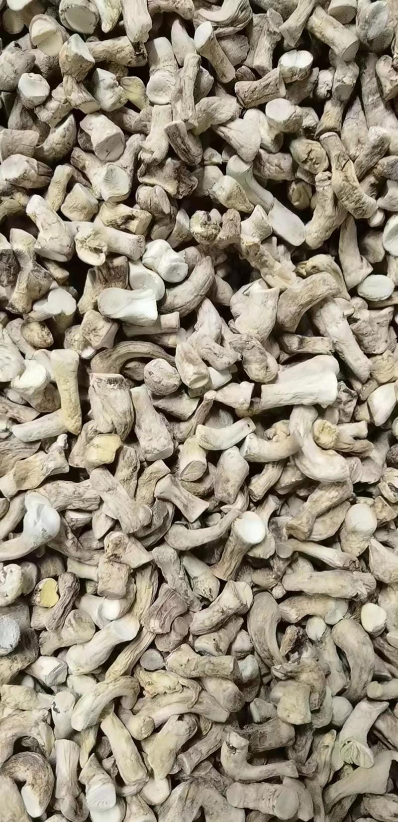 干香菇香菇腿香菇脚优质统货干净无杂质常年供应