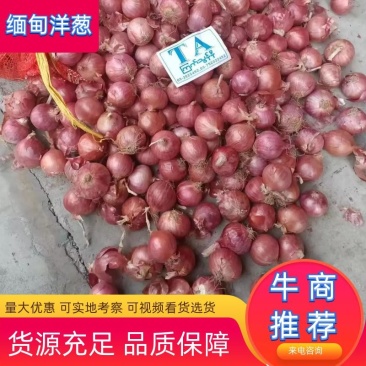 精品洋葱，毛葱，货源充足。大量现货，品质保障。来电咨询