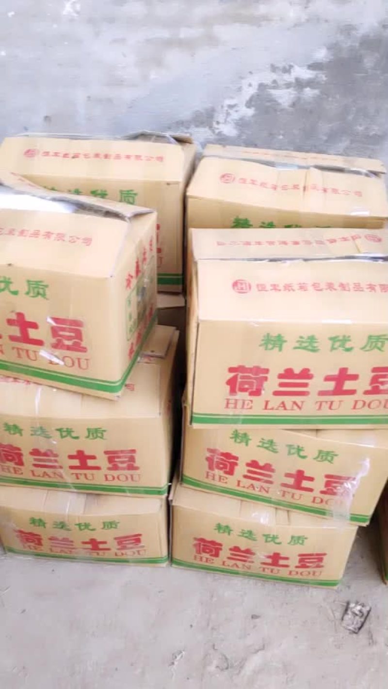 通许荷兰十五土豆中薯希森大量上市可供电商商超
