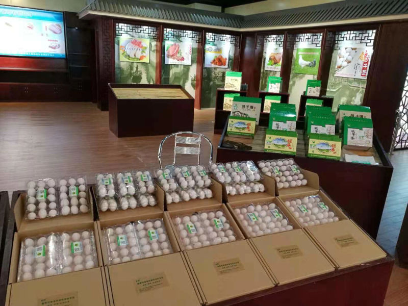 江苏长寿之乡〔新鲜鸽子蛋批发〕新鲜鸽蛋批发营养高-纯鲜蛋