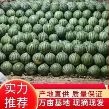 【包熟包甜】西瓜安徽正宗8424皮薄多汁全国发货