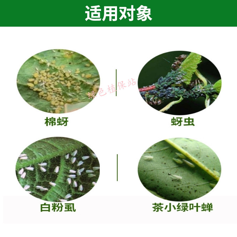 氟啶虫酰胺联苯菊酯杀虫剂蚜虫桃蚜黄蚜蓟马木虱白粉虱绿叶蝉