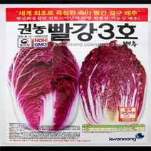 韩国进口紫色白菜种子早熟口感好紫白菜种子中国区域总代