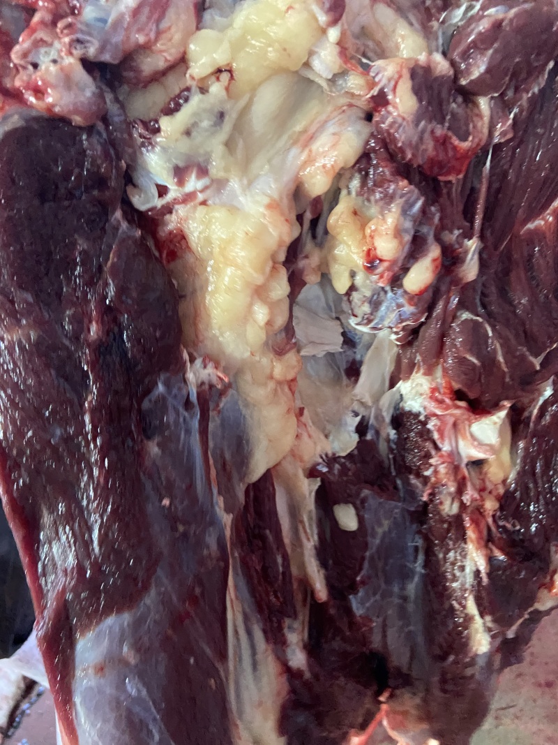 【驴肉】精品生驴肉保证新鲜一手货源量大从优全国发货