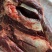 【驴肉】精品生驴肉保证新鲜一手货源量大从优全国发货