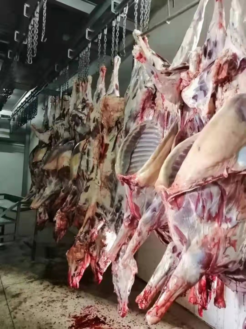 【驴肉】精品生驴肉保证新鲜一手货源量大从优全国发货