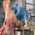 【驴肉】精品生驴肉保证新鲜一手货源量大从优全国发货