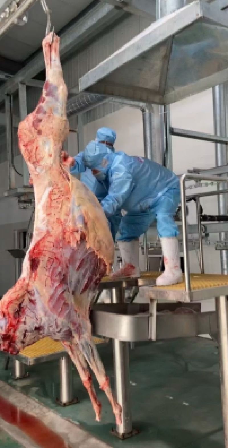 【驴肉】精品生驴肉保证新鲜一手货源量大从优全国发货