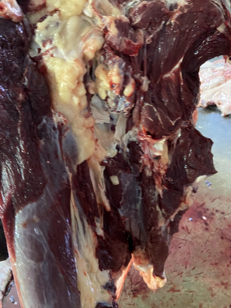 【驴肉】精品生驴肉保证新鲜一手货源量大从优全国发货
