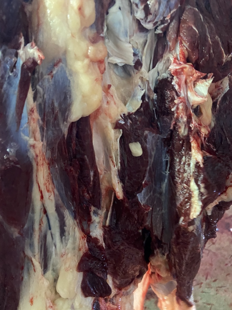 【驴肉】精品生驴肉保证新鲜一手货源量大从优全国发货