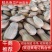 【推荐】金韩密本南瓜基地直发货源充足，可视频看货欢迎来电