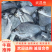 鳊鱼淡水活体鱼苗鳊鱼苗武昌鱼鲂鱼苗长身鳊鱼活体苗