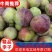 李子半边红李子专业代办货源充足质量保证长期稳定