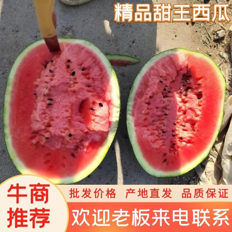精品西瓜产地直发一手货源口感脆甜自然成熟