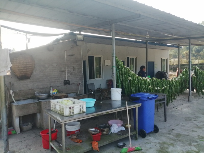 巴南二圣镇，25亩鱼塘转r，一共7口塘旁边就是河沟水源充