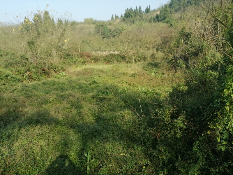 巴南二圣镇70亩鱼塘出zu，一个11个塘，水源山水，需要