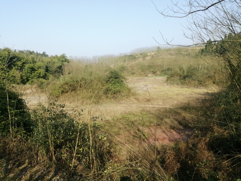 巴南二圣镇70亩鱼塘出zu，一个11个塘，水源山水，需要