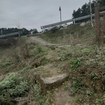 重庆巴南二圣镇10多亩的荒地可种菜，850一亩