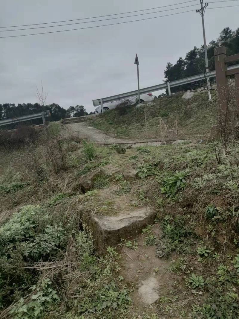 重庆巴南二圣镇10多亩的荒地可种菜，850一亩