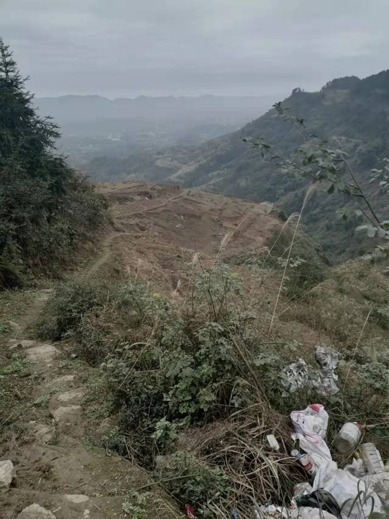 重庆巴南二圣镇10多亩的荒地可种菜，850一亩