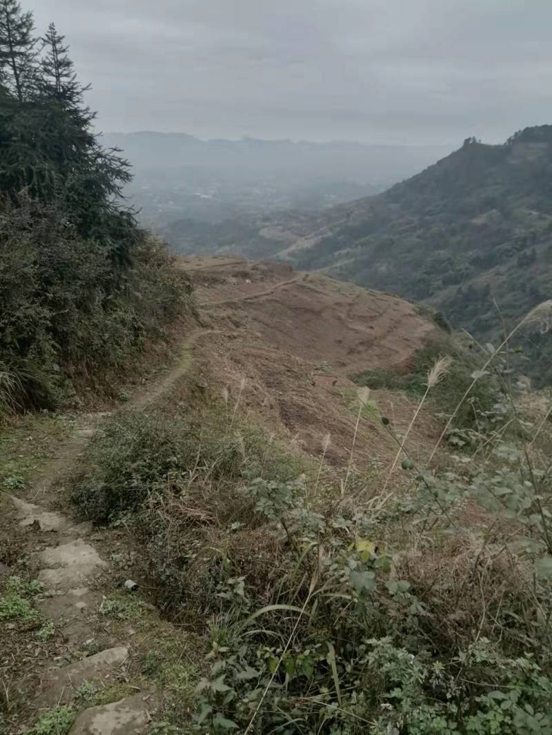 重庆巴南二圣镇10多亩的荒地可种菜，850一亩