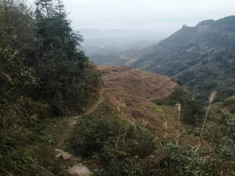 重庆巴南二圣镇10多亩的荒地可种菜，850一亩