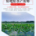 【产地直销】红虾湖北小龙虾餐馆大排档**一手货源活虾